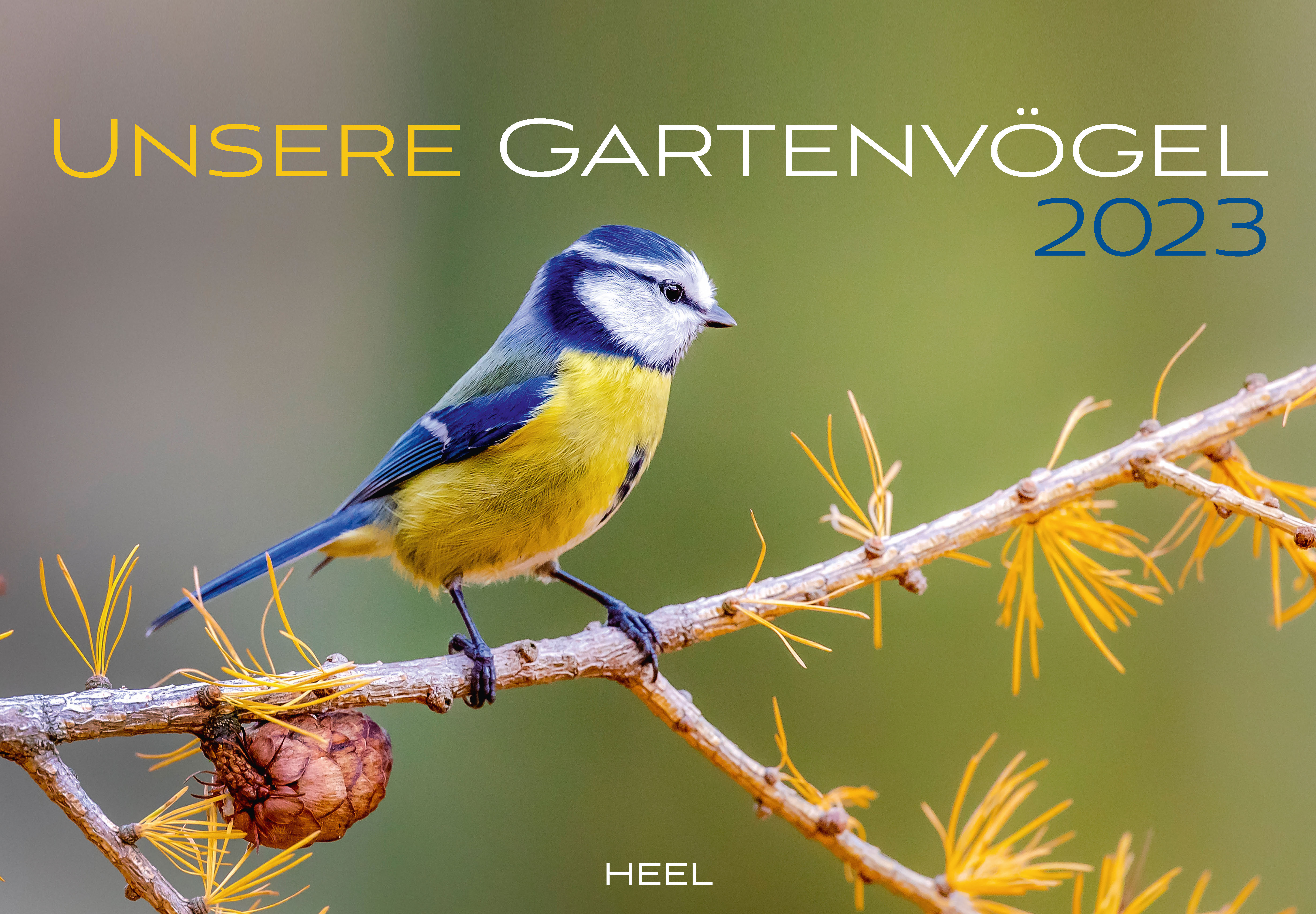 Kalender "Unsere Gartenvögel 2023"