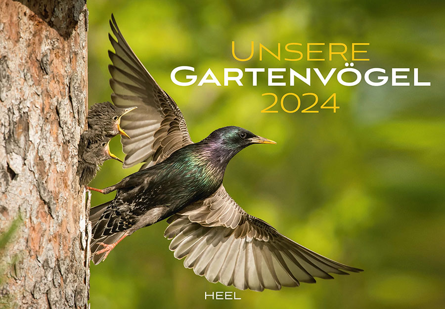 Kalender "Unsere Gartenvögel 2023" Produktfoto